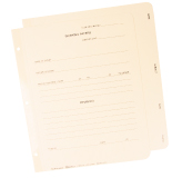 Working Paper Covers